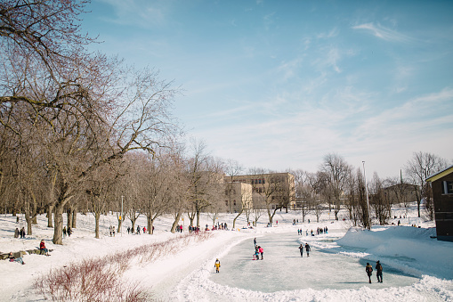 Montreal, Public park, ice rink, leisure activity, winter