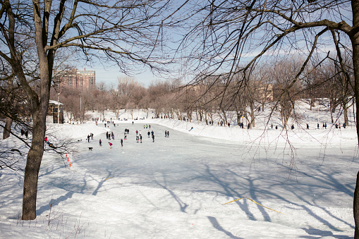 Montreal, Public park, ice rink, leisure activity, winter