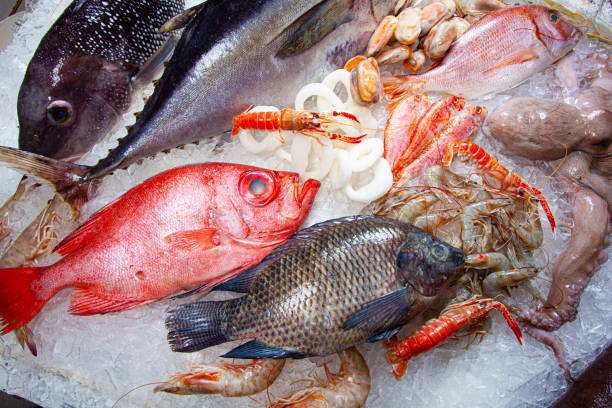 istock Seafood on ice at the fish market 1304761804