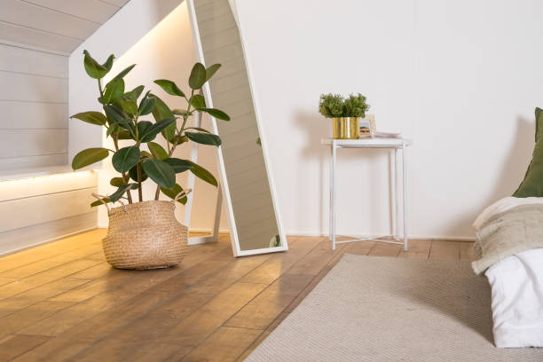 Home plant ficus in straw bag. Minimal modern interior design. Stylish green plant in Wicker pot near big mirrow. Modern room decor.Ficus Rubber-bearing with large leaves . Large Ficus plants. Stylish green plant in Wicker pot on wooden vintage stand on background of floral shop. indian rubber houseplant stock pictures, royalty-free photos & images