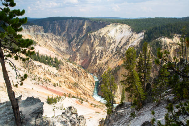 The Grand Canyon of Yellowstone River The Grand Canyon of Yellowstone River grand canyon of yellowstone river stock pictures, royalty-free photos & images