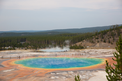 Springs and pools at West Thumb Geyser Basin overlooking Yellowstone Lake