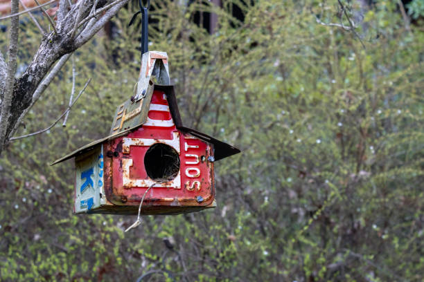 istock Birdhouse made with various old license plates hanging from a tree. 1304763863