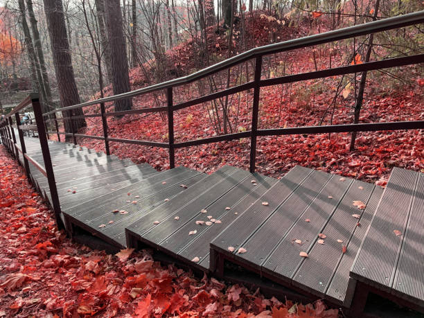 istock Wooden stairs in a park 1304765930