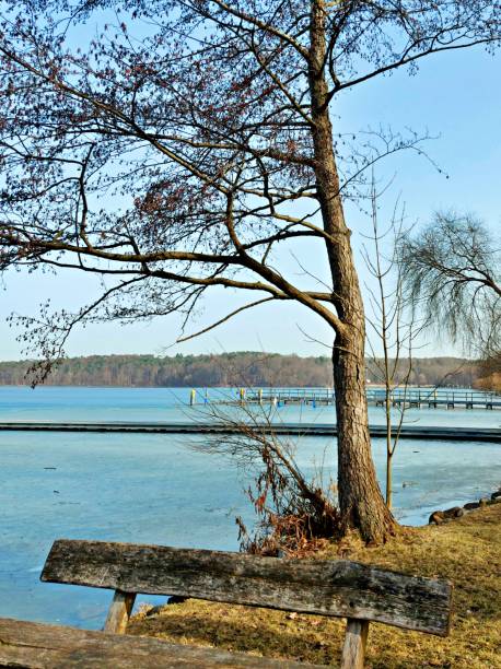 istock Bank at The Werbellinsee 1304766110