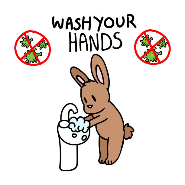 illustrations, cliparts, dessins animés et icônes de corona virus covid 19 se laver les mains vecteur bannière éducative. lapin mignon pour les enfants amicale sensibilisation aux soins de santé médicaux aider clip art. hygiène avec l’image du virus corona avertissement de soutien graphique. - prop wash