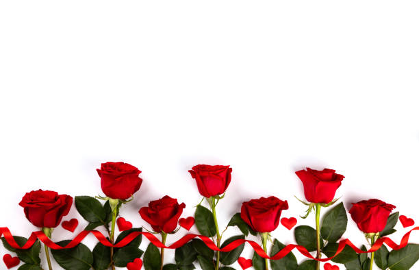 istock Red fresh roses isolated on white background. Traditional holiday gift. 1304775223