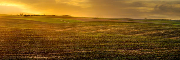 istock spring panorama of plowed field, evening light 1304775384