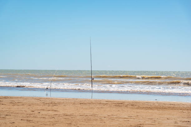 istock Fishing rods stabbed on the sand waiting for a fish 1304783591