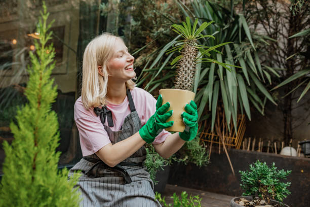 istock Gardening at home can be a nice hobby 1304785929