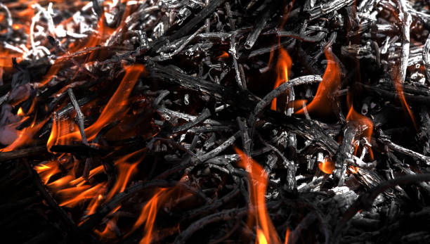 istock red flames close-up. fire burning wood. 1304786159