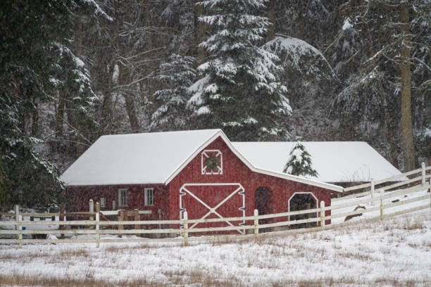 istock An old red barn in a winter wonderland 1304787958