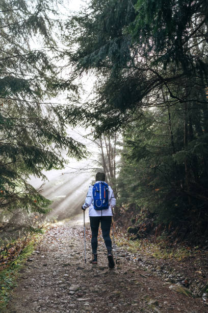 istock Woman with backpack have a forest walk using a trekking poles. She walking by the forest path with trees tunnel and magical sun beams shinning through the branches. Active people concept image. 1304799770