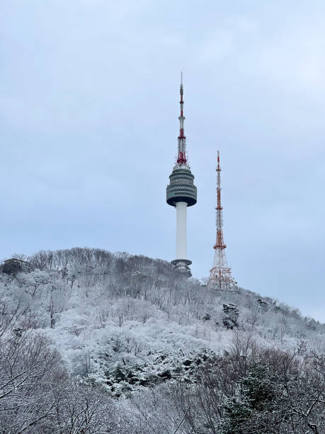 istock Seoul Namsan 1304801810