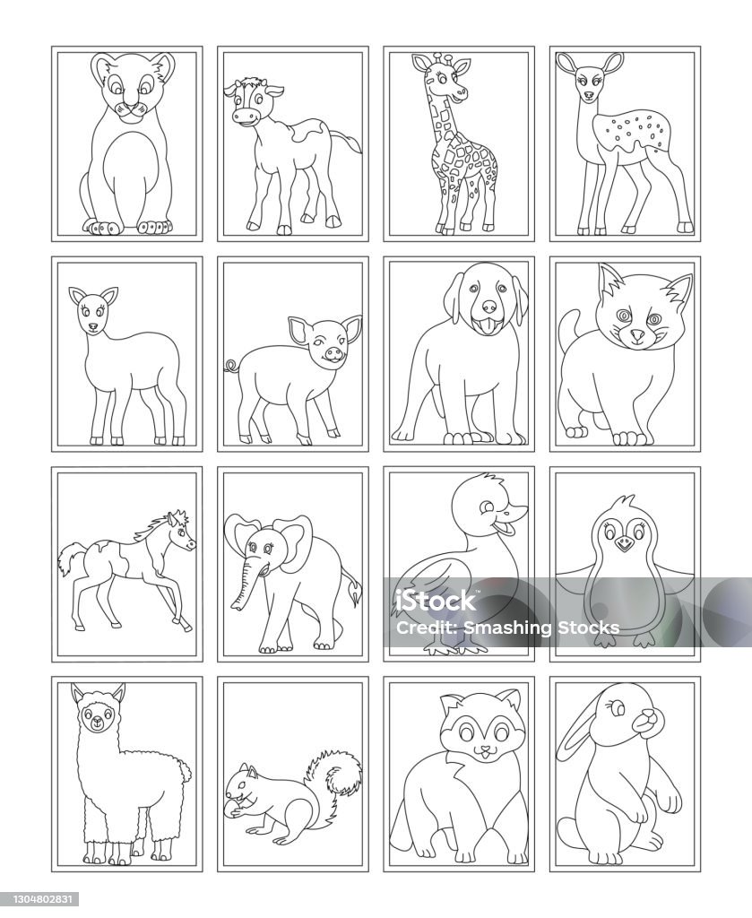 Pack Of Animals Coloring Pages Stock Illustration - Download Image Now - Dog,  Domestic Cat, Outline - iStock