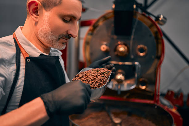 Handsome young man in apron looking at freshly roasted coffee beans while standing by coffee roasting machine. Side view. Close up view. Selective focus.