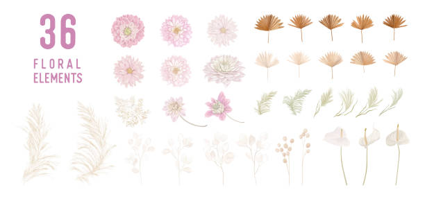 ilustrações, clipart, desenhos animados e ícones de flores lunaria secas, dália, grama de pampas, palmeiras tropical deixa buquês de vetor. modelo floral de aquarela pastel coleção isolada para coroa de casamento, molduras de buquê, elementos de design de decoração - leaf dry backgrounds nobody