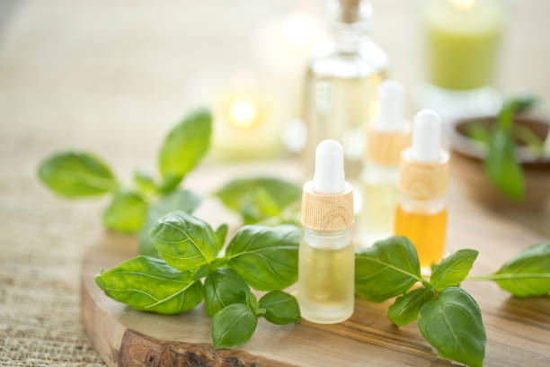 huiles essentielles au basilic frais - huile essentielle de basilic photos et images de collection