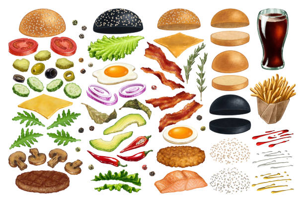 ilustraciones, imágenes clip art, dibujos animados e iconos de stock de conjunto de ilustraciones de comida rápida de hamburguesas o sándwiches - sandwich ham white background lunch
