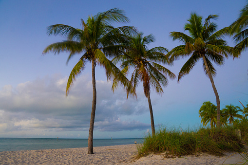 Amanecer en Key West photo