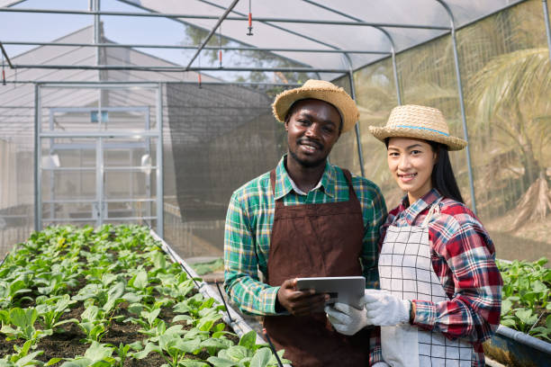 istock Farmers stand holding a digital tablet in an organic vegetable plot. 1304819531