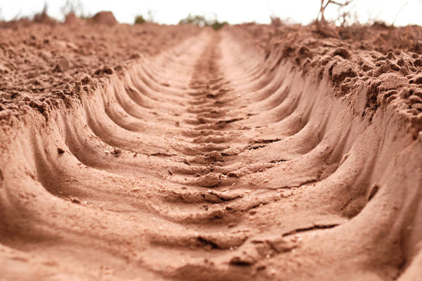 Tire tracks