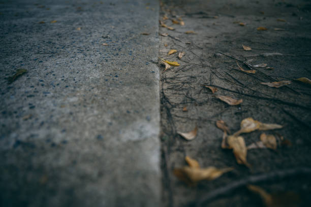 Leaves on a dirty floor on the left of the image, strong blurring with sharp focal point on brown leaves. Half the image is concrete and half dry soil.