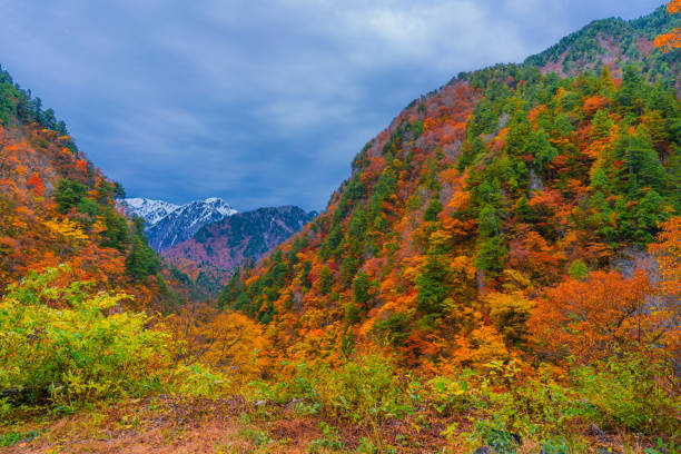 istock Autumn landscape in Kurobe gorge 1304824773