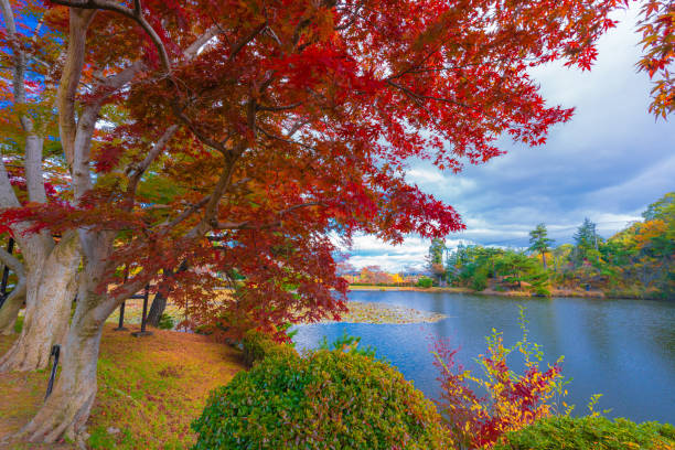 istock Autumn colored landscape in Fukushima 1304826639