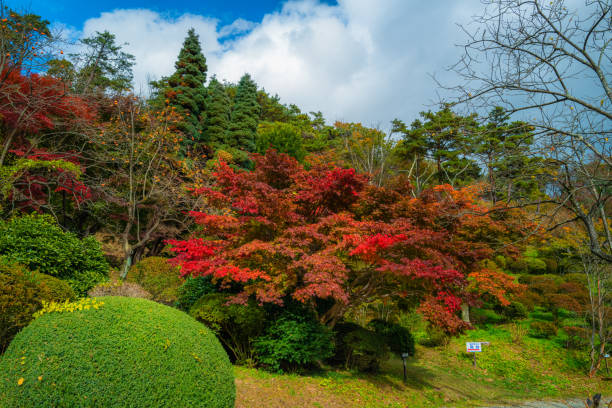 istock Autumn colored landscape in Fukushima 1304826675