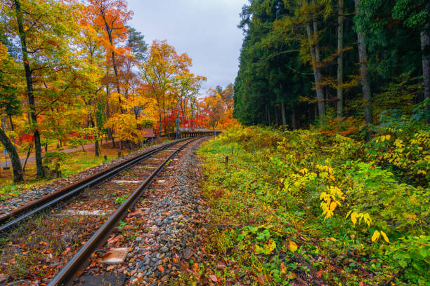 istock Autumn colored landscape in Fukushima 1304827206