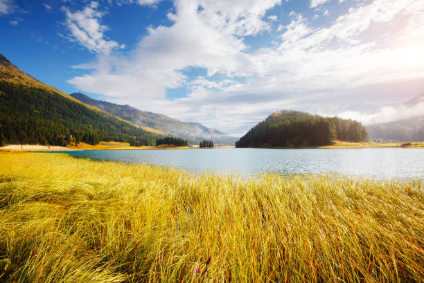 hermoso lago alpino champfer en hermoso día de verano. - champfer fotografías e imágenes de stock