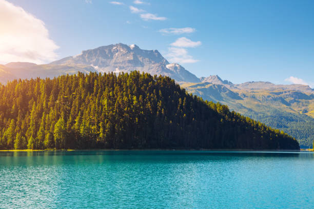 hermoso lago alpino champfer en hermoso día de verano. - champfer fotografías e imágenes de stock