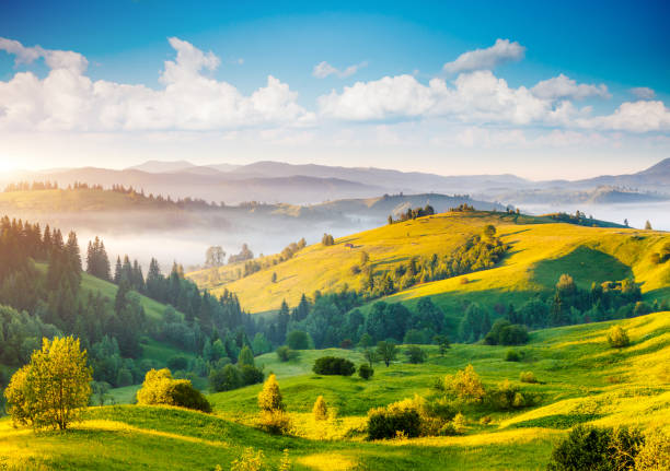 istock Great countryside landscape in morning light. 1304838359