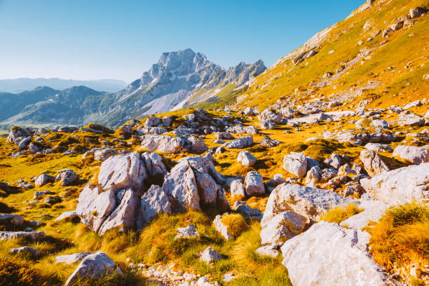 istock Captivating summer day in the Durmitor National park. 1304839103