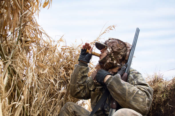 hunter sits in the shelter and lures the ducks the duck hunter sits in the blind of the reeds and lures the ducks hunter stock pictures, royalty-free photos & images