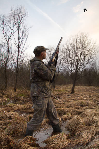 istock hunter prepares to shoot a flying woodcock 1304839442