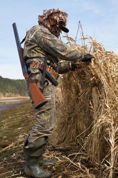 istock duck hunter makes a hunting blind of reeds 1304839470