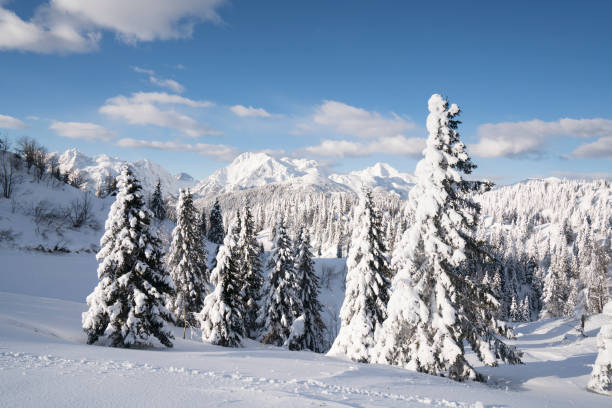 istock Frozen trees, snow and mountains with sky as background, Slovenia 1304840083