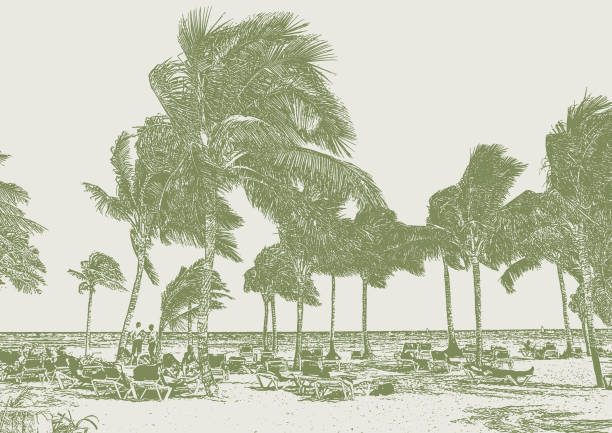 Riviera Maya Beach