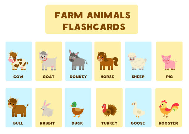 Farm Animals With Names Flash Cards For Kids Stock Illustration - Download  Image Now - Flash Card, Livestock, Animal - iStock