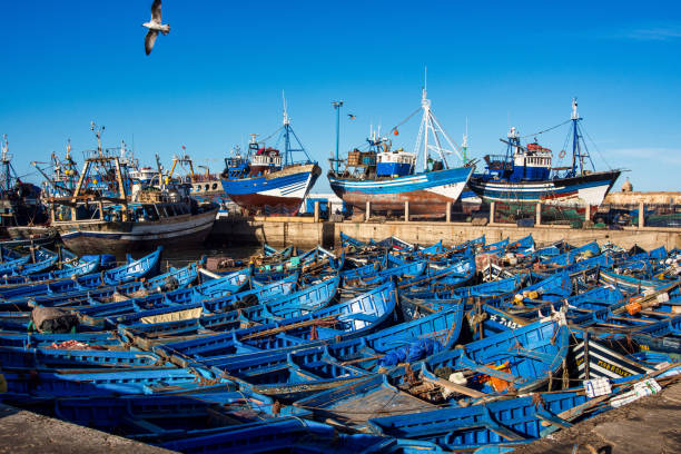 muitos barcos de pesca azuis no porto de essaouira, marrocos - africa morocco essaouira atlantic ocean - fotografias e filmes do acervo