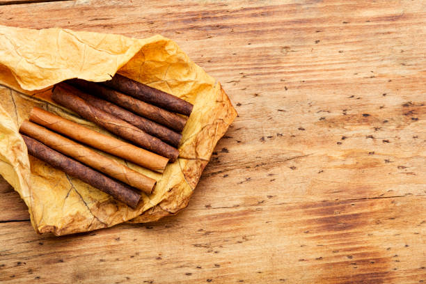 cigarillos and tobacco leaf - cigarette wrapping imagens e fotografias de stock