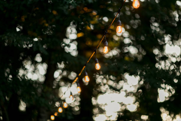 istock Decorative Outdoor Party Lights in Garden 1304853068