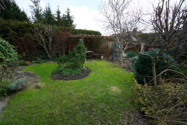 istock garden with lawn in early spring 1304856014