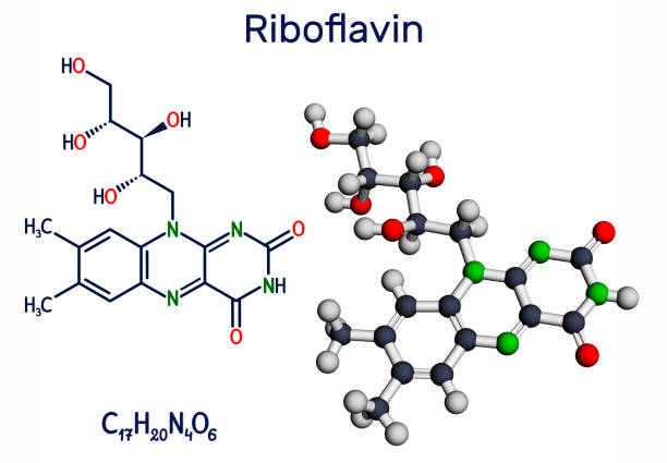 illustrations, cliparts, dessins animés et icônes de riboflavine, molécule de vitamine b2.  il est flavin soluble dans l’eau, se trouve dans les aliments, utilisé comme un complément alimentaire e101.  modèle structurel de formule chimique et de molécule - flavian