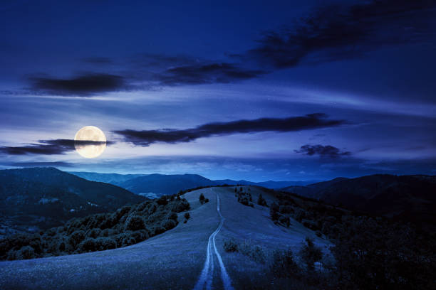 istock road through meadow in mountains at night 1304857526