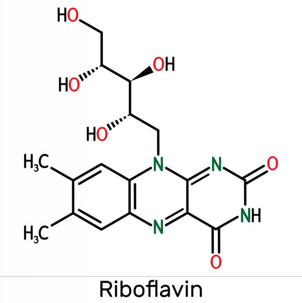 illustrations, cliparts, dessins animés et icônes de riboflavine, molécule de vitamine b2.  il est flavin soluble dans l’eau, se trouve dans les aliments, utilisé comme un complément alimentaire e101.  formule chimique squelettique - flavian