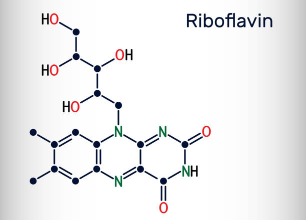 riboflavin, vitamin b2 molekül.  es ist wasserlösliches flavin, ist in lebensmitteln gefunden, als nahrungsergänzungsmittel e101 verwendet.  skelettchemische formel - flavian stock-grafiken, -clipart, -cartoons und -symbole