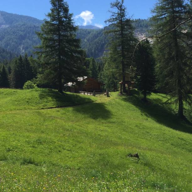istock Landscape in Southtyrol 1304858473